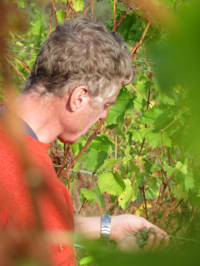 Stay At The Winemaker Ervedosa do Douro Dış mekan fotoğraf