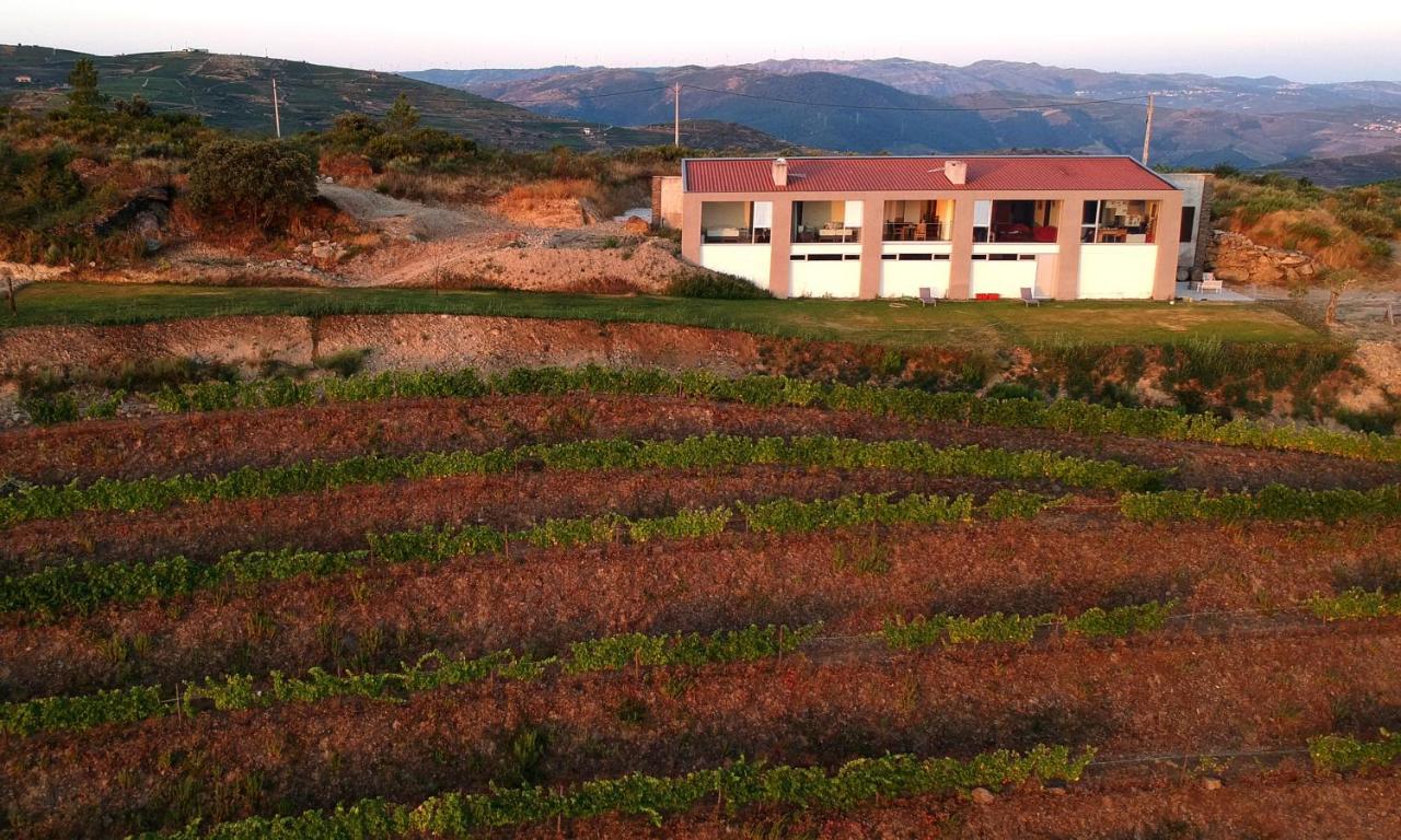 Stay At The Winemaker Ervedosa do Douro Dış mekan fotoğraf