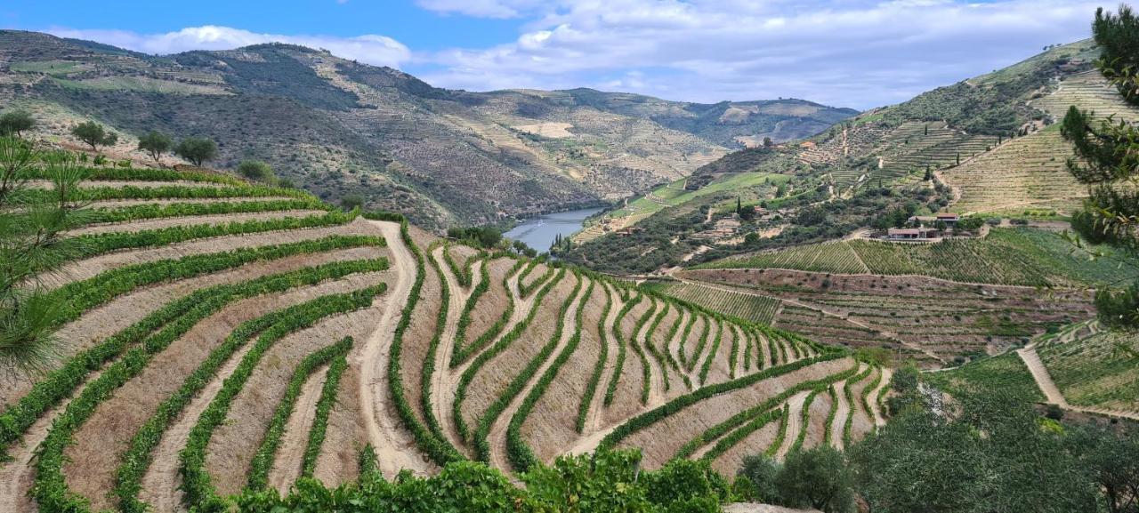 Stay At The Winemaker Ervedosa do Douro Dış mekan fotoğraf