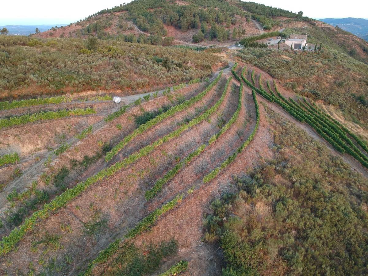 Stay At The Winemaker Ervedosa do Douro Dış mekan fotoğraf