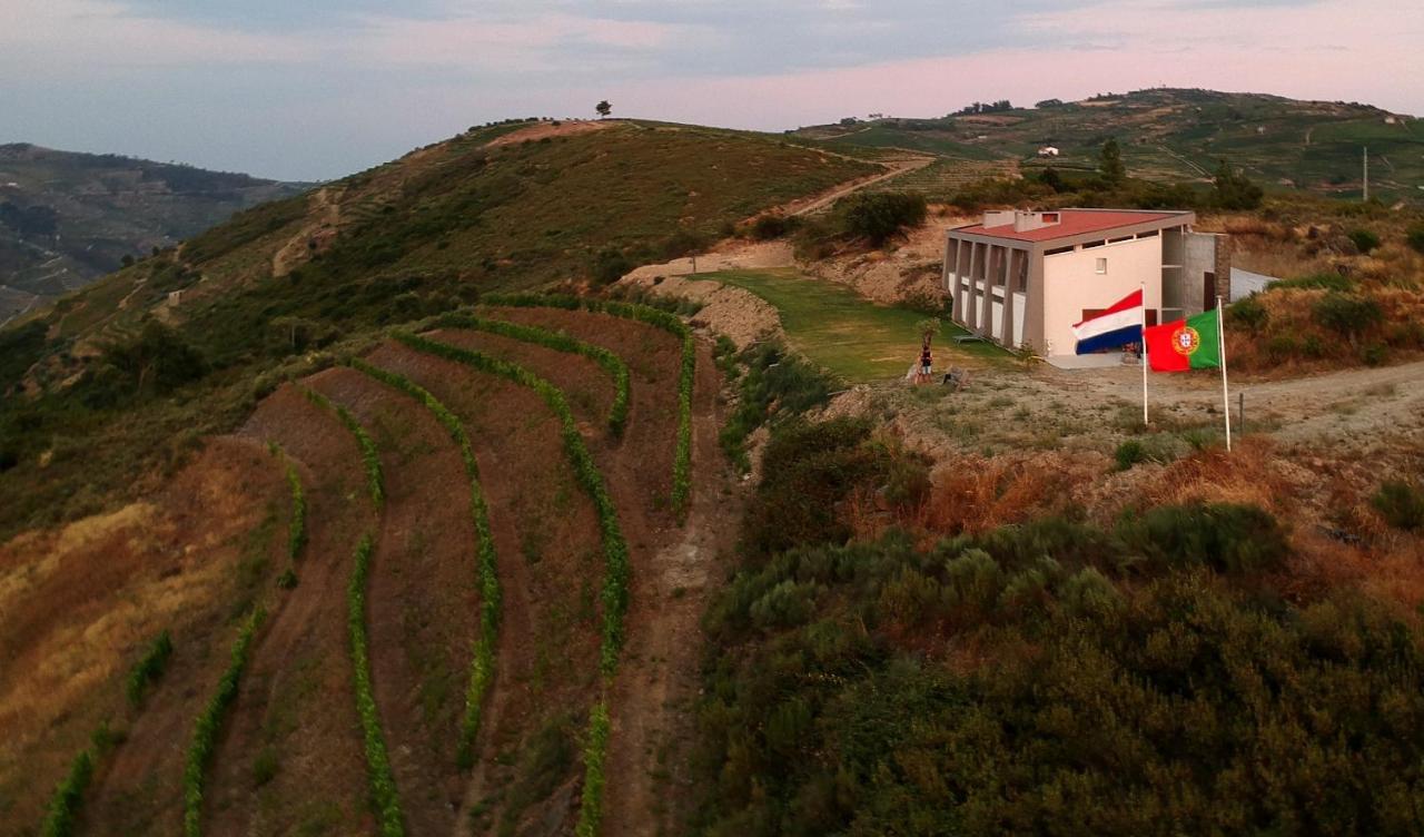 Stay At The Winemaker Ervedosa do Douro Dış mekan fotoğraf