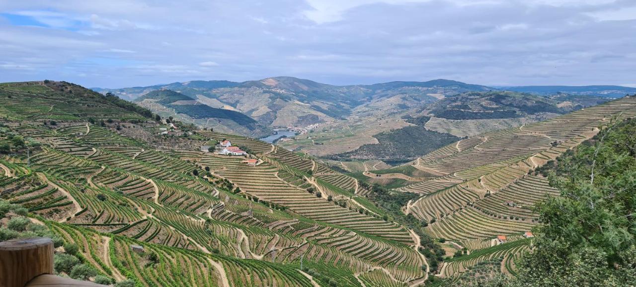 Stay At The Winemaker Ervedosa do Douro Dış mekan fotoğraf